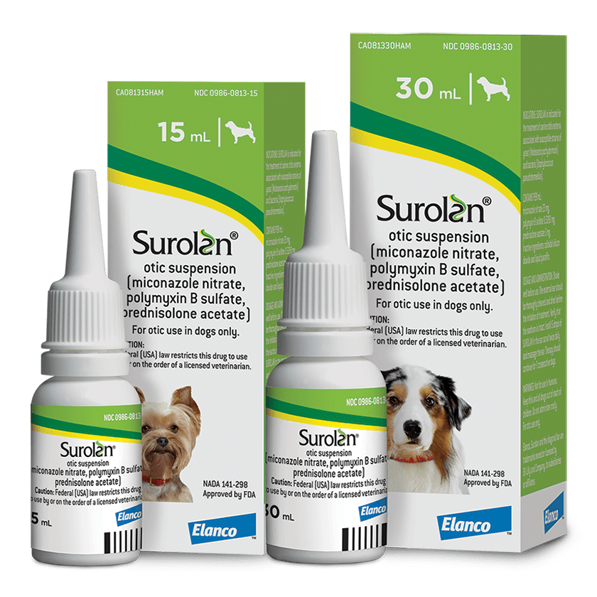 Surolan Ear Drops for Dogs Cats Pet Health Direct