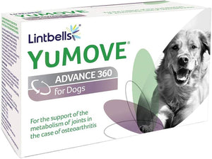 Yumove Advance 360 for dogs