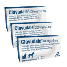 Load image into Gallery viewer, Clavudale® Tablets
