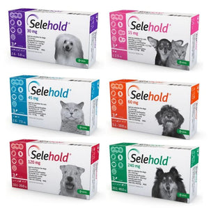 Selehold Spot on for Cats and Dogs