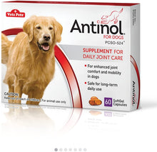 Load image into Gallery viewer, Antinol for Dogs - Pet Health Direct
