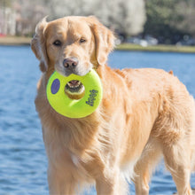 Load image into Gallery viewer, KONG Airdog Squeaker Donut - Pet Health Direct
