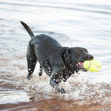 Load image into Gallery viewer, KONG Airdog Squeaker Football - Pet Health Direct

