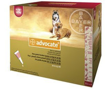 Load image into Gallery viewer, Advocate Spot-on Solution for Dogs &amp; Cats - Pet Health Direct
