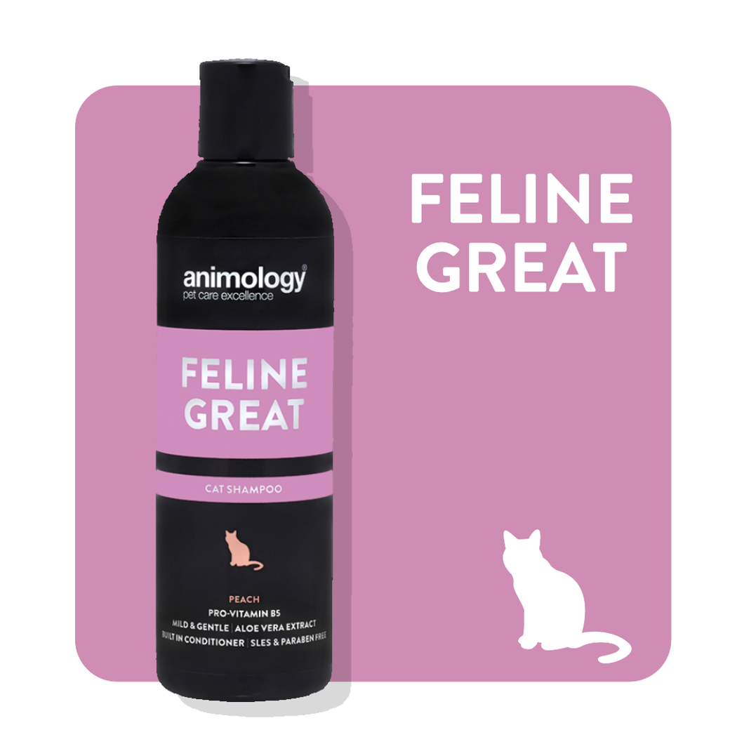 Animology Feline Great Cat Shampoo 250 ml Peach - Pet Health Direct
