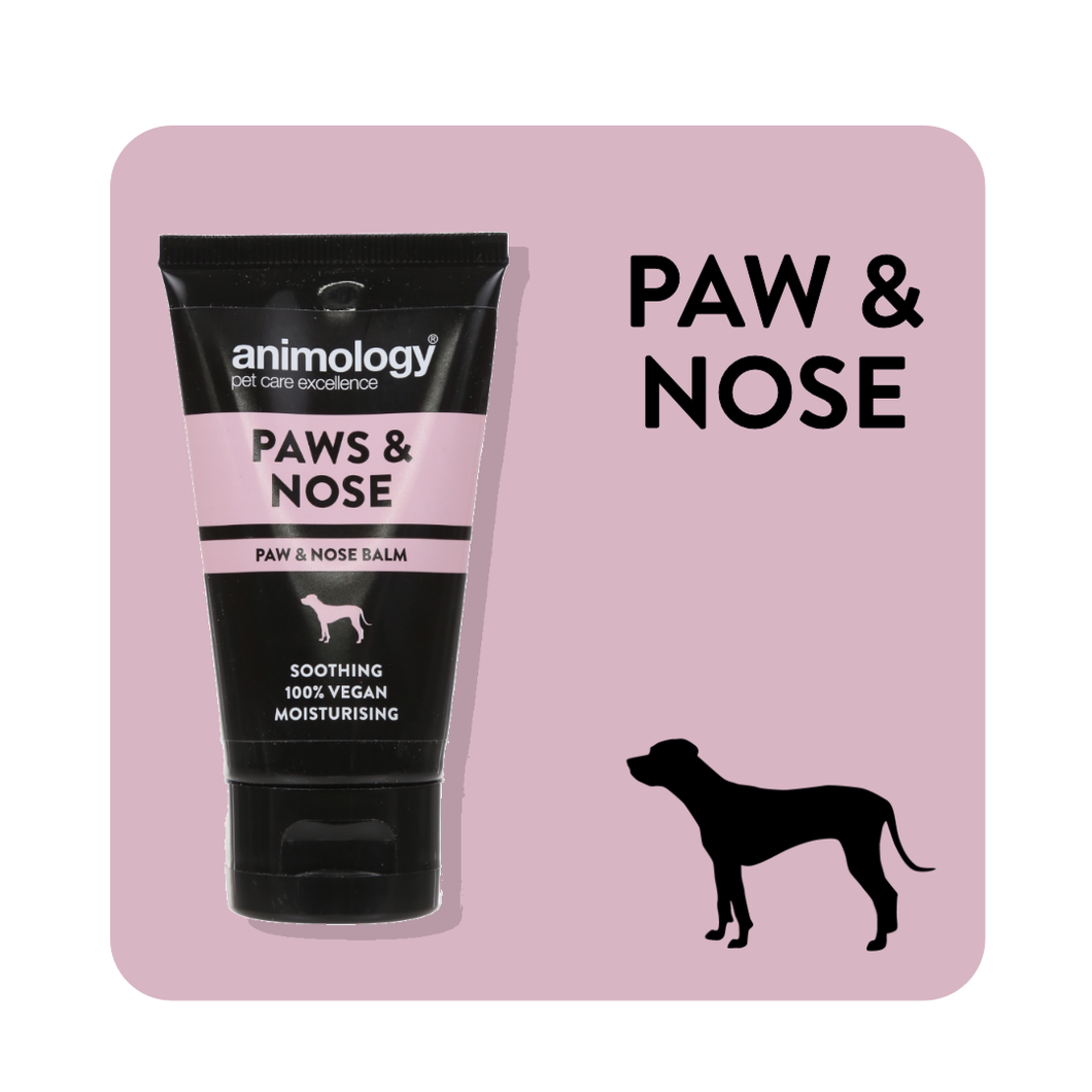 Animology Paws & Nose Balm 50 ml - Pet Health Direct