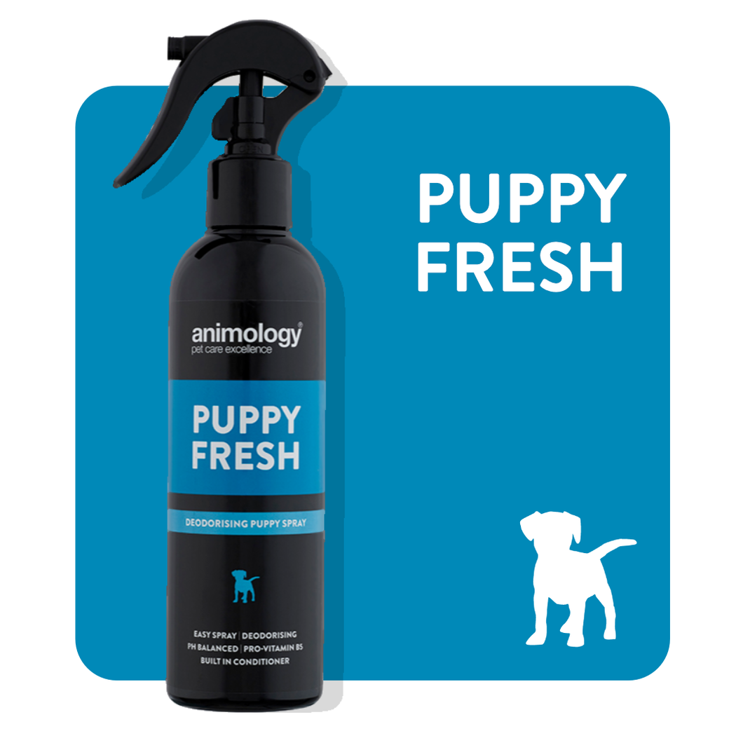 Animology Dog Puppy Fresh Spray 250ml - Pet Health Direct