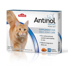 Load image into Gallery viewer, Antinol for Cats - Pet Health Direct
