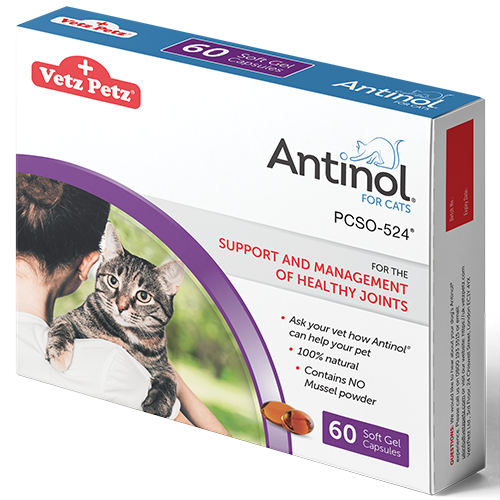 Antinol for Cats - Pet Health Direct
