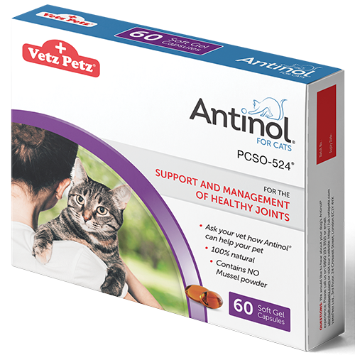 Antinol for clearance cats