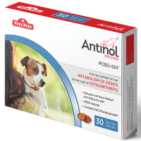 Antinol for Dogs - Pet Health Direct