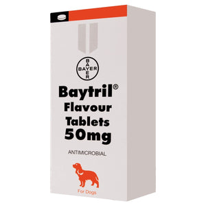 Baytril Flavoured Anti-Biotic Tablets - Pet Health Direct