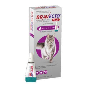 Bravecto Plus Spot-On For Cats - Pet Health Direct