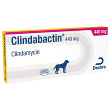 Load image into Gallery viewer, Clindabactin® Chewable Tablets
