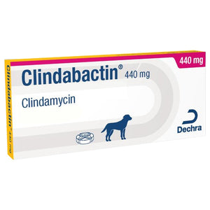 Clindabactin® Chewable Tablets
