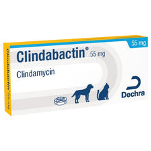 Load image into Gallery viewer, Clindabactin® Chewable Tablets
