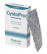 Load image into Gallery viewer, Protexin Cystopro - Pet Health Direct
