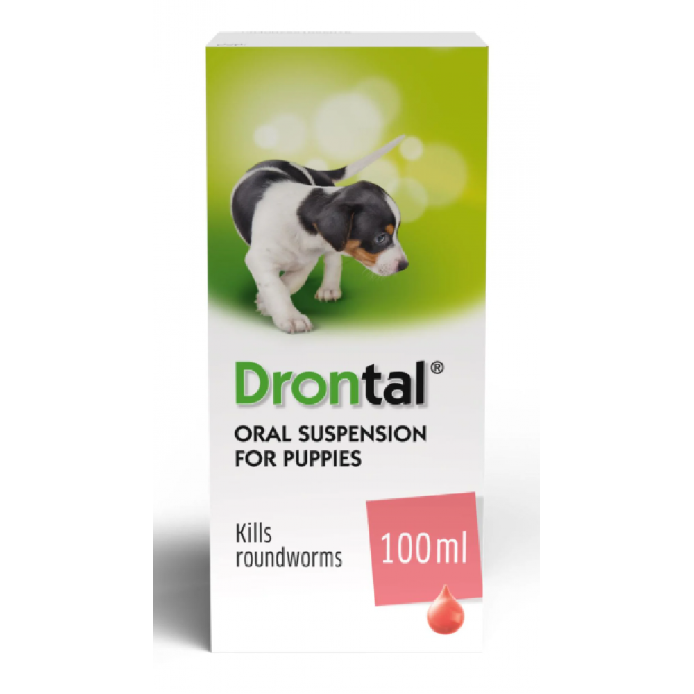 Drontal Puppy Oral Suspension 50ml Pet Health Direct