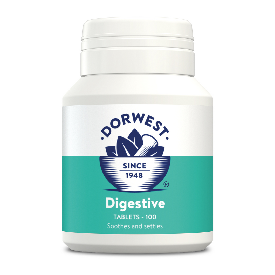Dorwest Digestive Tablets For Dogs And Cats 100 count - Pet Health Direct
