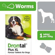Load image into Gallery viewer, Drontal Dog Tasty Bone XL - Pet Health Direct
