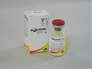 Excenel Antibiotic (Ceftiofur) Injection - Pet Health Direct