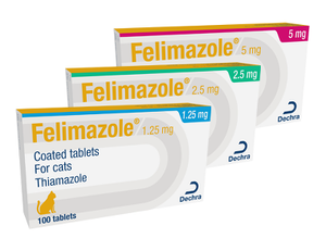 Felimazole for Cats - Pet Health Direct