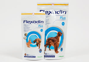 Flexadin Plus Chews - Pet Health Direct