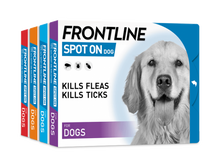 Load image into Gallery viewer, Frontline Spot ON for Dogs - Pet Health Direct
