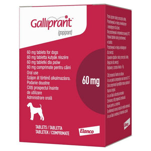 Galliprant tablets for dogs - Pet Health Direct