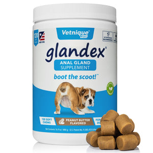 Glandex Anal Gland Support Soft Chews for Dogs - Pet Health Direct