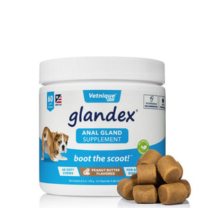Glandex Anal Gland Support Soft Chews for Dogs - Pet Health Direct
