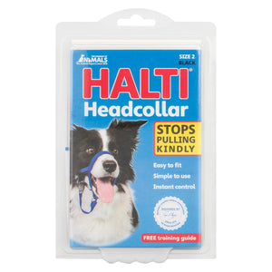 Halti Headcollar for Dogs - Pet Health Direct