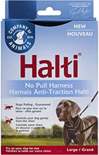 Load image into Gallery viewer, HALTI No Pull Dog Harness - Pet Health Direct
