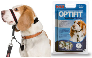 HALTI OptiFit Headcollar for Dogs - Pet Health Direct