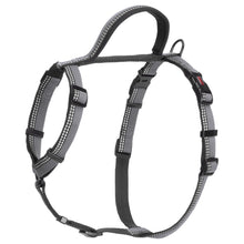 Load image into Gallery viewer, Halti Walking Harness - Pet Health Direct
