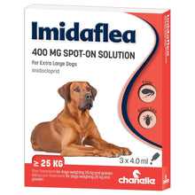 Load image into Gallery viewer, Imidaflea Spot-On Solution for Cats, Rabbits and Dogs - Pet Health Direct

