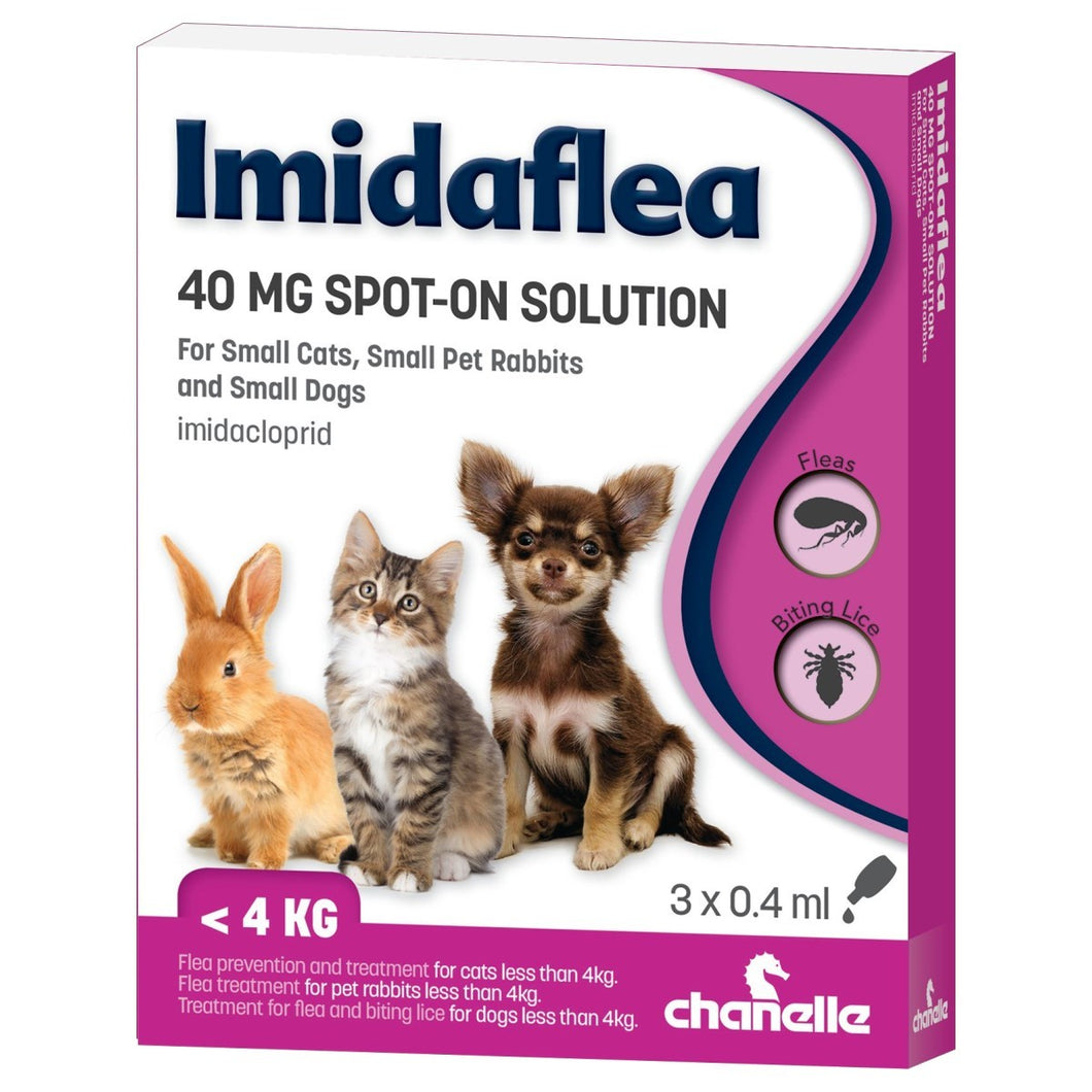 ImidaFLEA Spot-On Solution for Cats, Rabbits and Dogs - Pet Health Direct