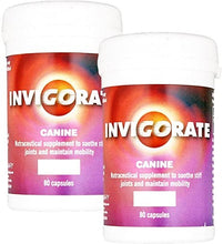Load image into Gallery viewer, Invigorate Canine Supplement Tablets for Dogs - Pet Health Direct
