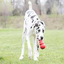 Load image into Gallery viewer, KONG Classic Red toy - Pet Health Direct
