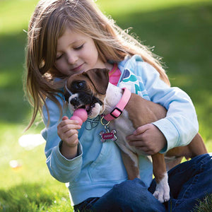 KONG Puppy - Pet Health Direct