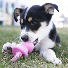 Load image into Gallery viewer, KONG Puppy Binkie Medium - Pet Health Direct
