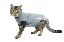 Load image into Gallery viewer, BUSTER Body Suit EasyGo for cats, grey/black - Pet Health Direct
