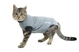 BUSTER Body Suit EasyGo for cats, grey/black - Pet Health Direct