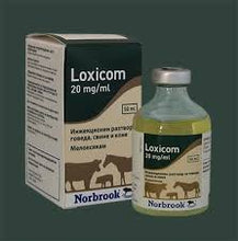 Load image into Gallery viewer, Loxicom injectable for Pigs, Cattle and Horses - Pet Health Direct
