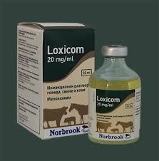 Loxicom injectable for Pigs, Cattle and Horses - Pet Health Direct