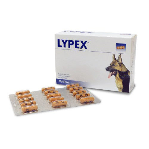 Lipex Capsules - Pet Health Direct