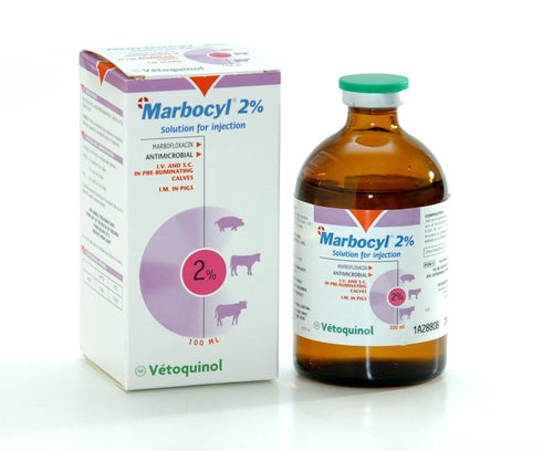 Marbocyl Injectable antibiotic - Pet Health Direct