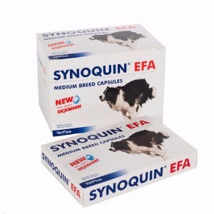 Synoquin EFA - Pet Health Direct