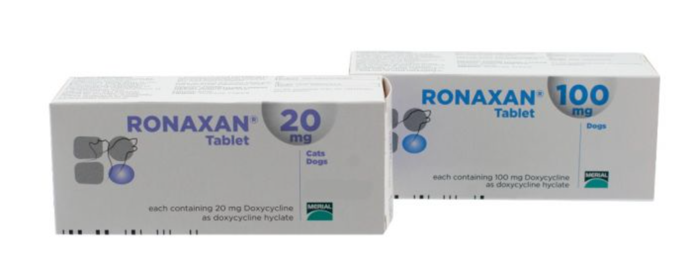 Doxycycline 20 mg tablets