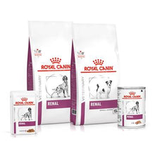 Load image into Gallery viewer, ROYAL CANIN® Renal Adult Dog Food - Pet Health Direct
